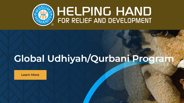 Helping Hand