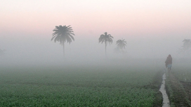 সংগৃহীত ছবি