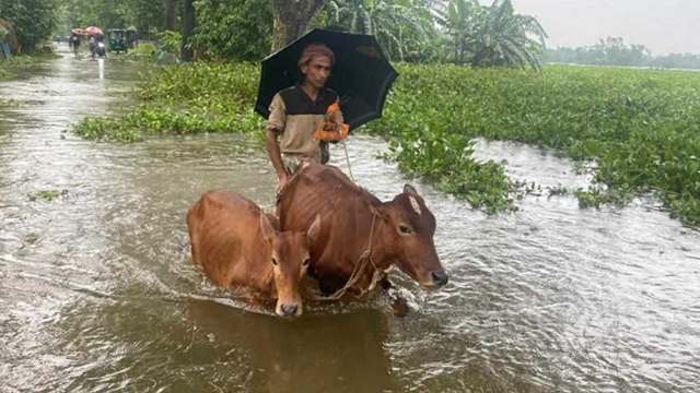 সিলেটের কুলাউড়ায় বন্যা, লোকসান ও জনগণের দুর্ভোগের কথা বললেন এমপি নাদেল