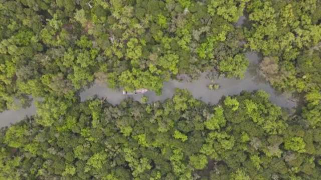 যুক্তরাজ্যের সহায়তা হ্রাস পাওয়ায়  হুমকির মুখে বাংলাদেশের সুন্দরবনের বড় জলবায়ু প্রকল্প